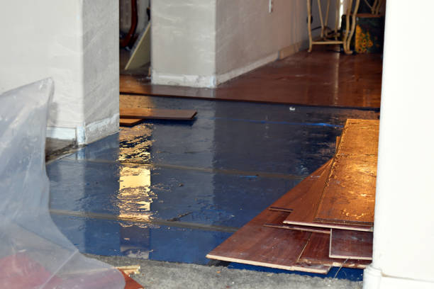 Professional Basement Flood Cleanup technician working in Baldwyn, MS
